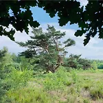 Zonnebos, Private Garden, Fresh Air, Relax!