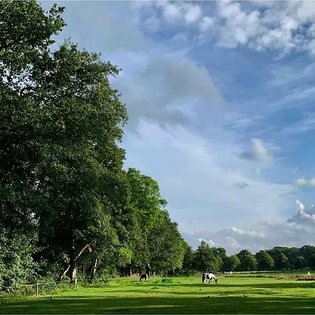 Zonnebos, Private Garden, Fresh Air, Relax! * Otterlo