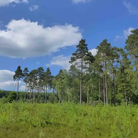 Zonnebos, Private Garden, Fresh Air, Relax! Otterlo