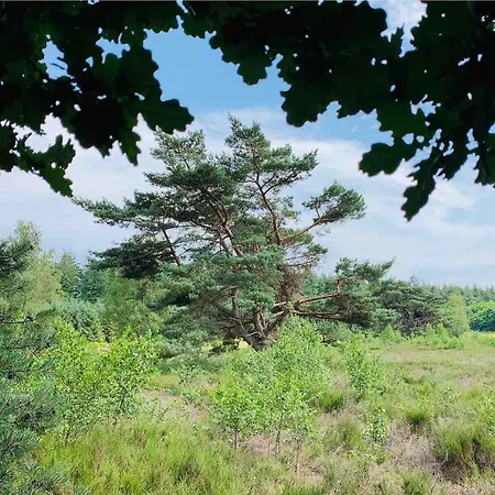 Zonnebos, Private Garden, Fresh Air, Relax!