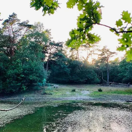 Zonnebos, Private Garden, Fresh Air, Relax! Holiday home