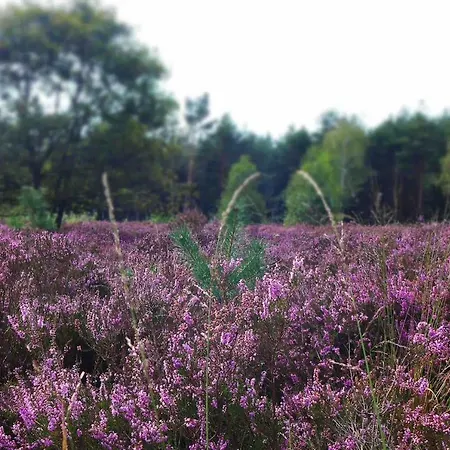 Zonnebos, Private Garden, Fresh Air, Relax! Otterlo