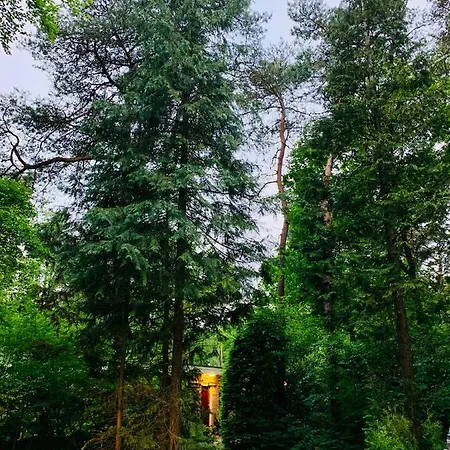 Holiday home Zonnebos, Private Garden, Fresh Air, Relax! *