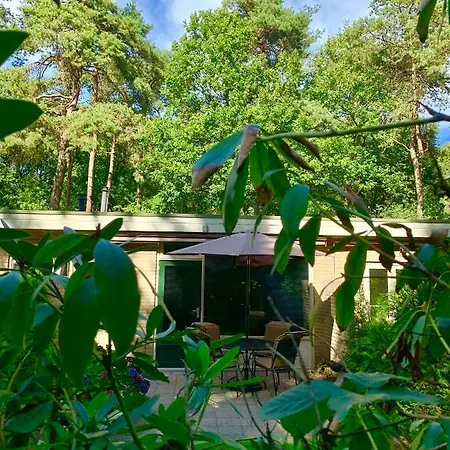Zonnebos, Private Garden, Fresh Air, Relax! Holiday home Otterlo