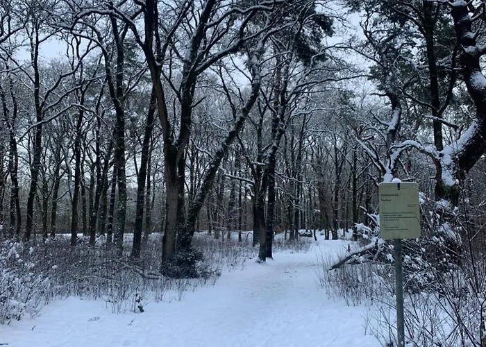 Zonnebos, Private Garden, Fresh Air, Relax!