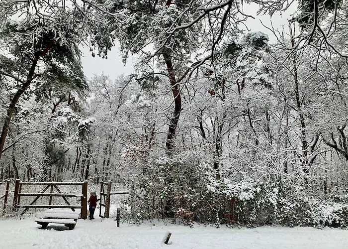 Zonnebos, Private Garden, Fresh Air, Relax! Сasa de vacaciones Otterlo