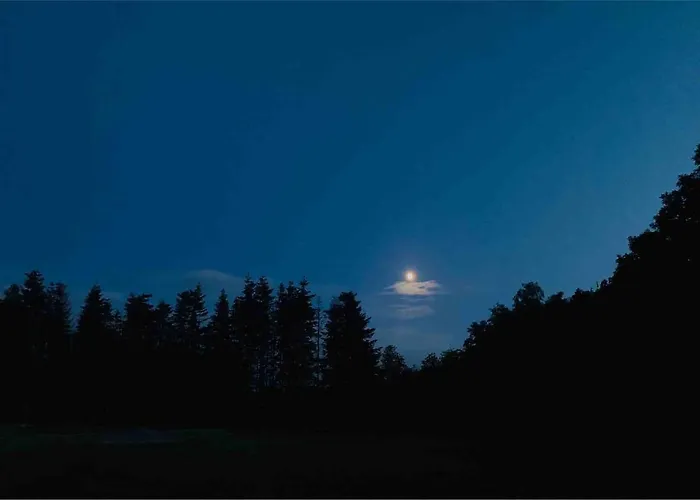 Holiday home Zonnebos, Private Garden, Fresh Air, Relax!