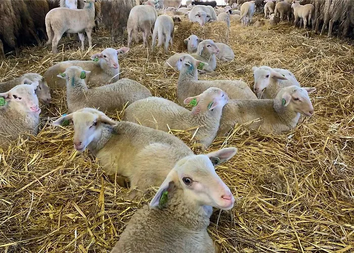 Zonnebos, Private Garden, Fresh Air, Relax! *