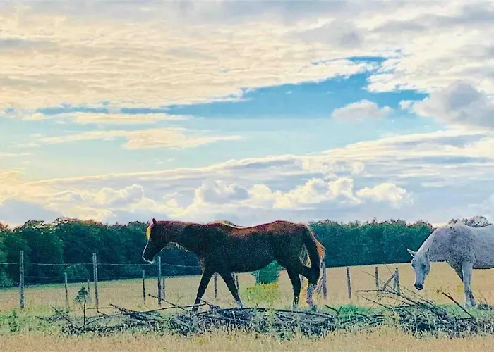 Zonnebos, Private Garden, Fresh Air, Relax! Otterlo