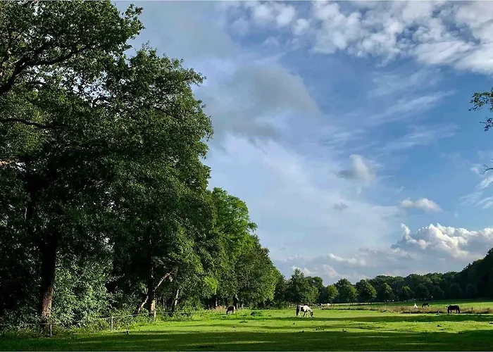 Zonnebos, Private Garden, Fresh Air, Relax! * Otterlo