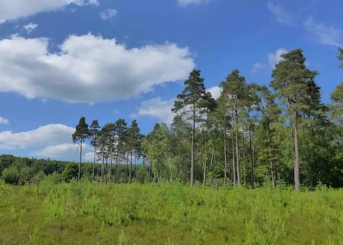 Zonnebos, Private Garden, Fresh Air, Relax! Otterlo