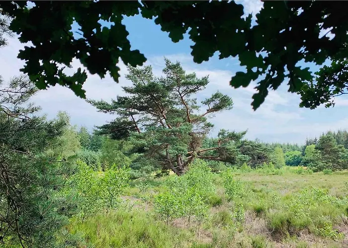 Zonnebos, Private Garden, Fresh Air, Relax!