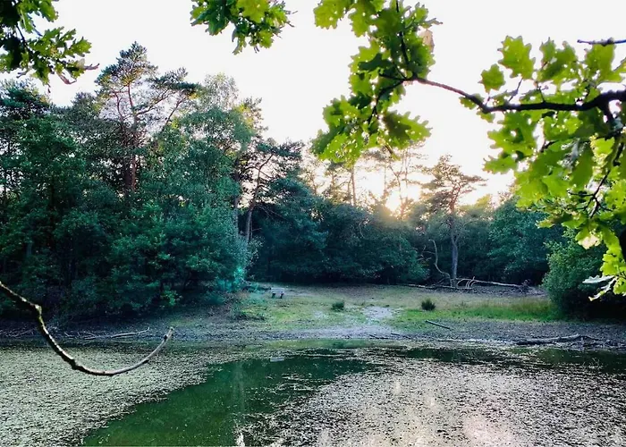 Zonnebos, Private Garden, Fresh Air, Relax! Holiday home