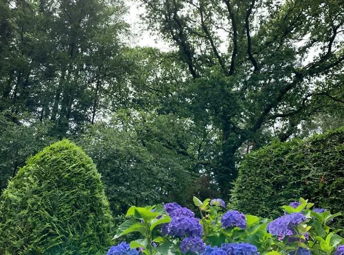 Zonnebos, Private Garden, Fresh Air, Relax! *