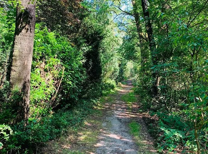 Holiday home Zonnebos, Private Garden, Fresh Air, Relax! Otterlo