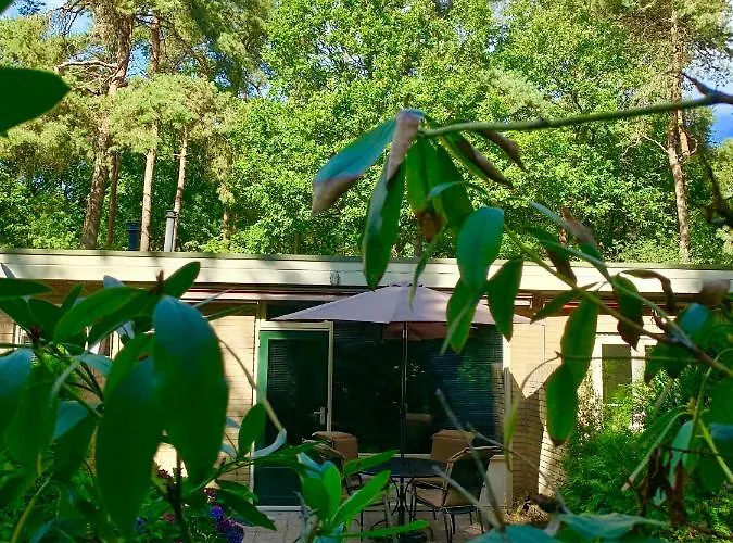 Zonnebos, Private Garden, Fresh Air, Relax! Holiday home Otterlo