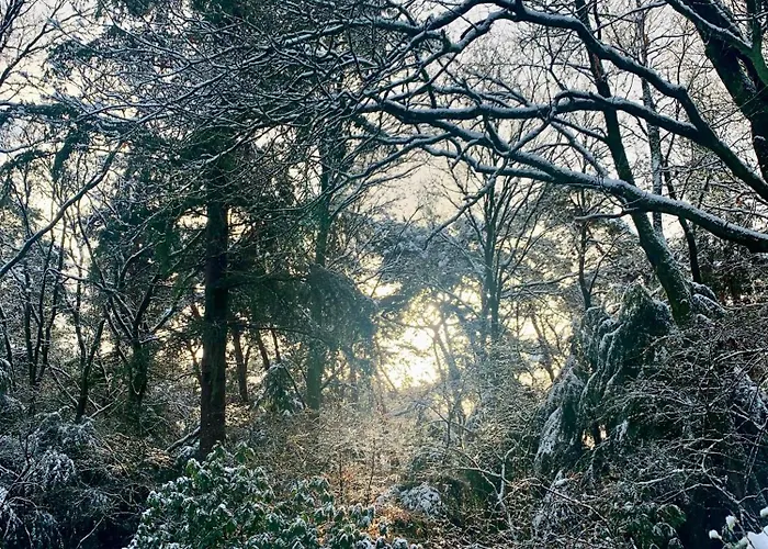 Zonnebos, Private Garden, Fresh Air, Relax! *