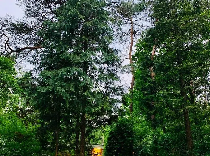 Dom wakacyjny Zonnebos, Private Garden, Fresh Air, Relax! *